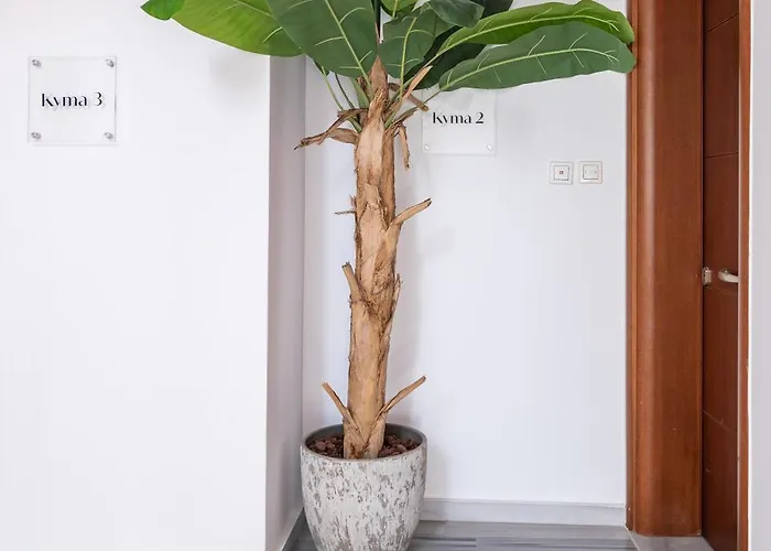 Apartment Cozy Central Stay - 3 Min Walk To Beach & Town - I